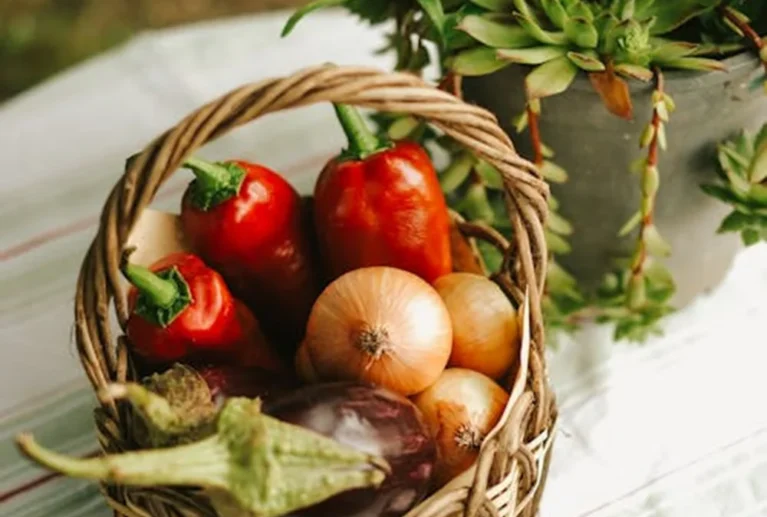 We grow fresh, organic produce using clean methods that protect nature, healthy food.